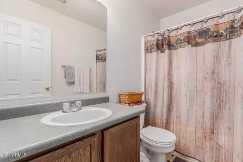 Bath - 10622 E Arbor Ave, Mesa, AZ 85208 photo 3 of 3