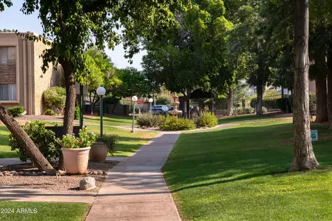 3825 E Camelback Rd #135, Phoenix, AZ 85018 photo 3