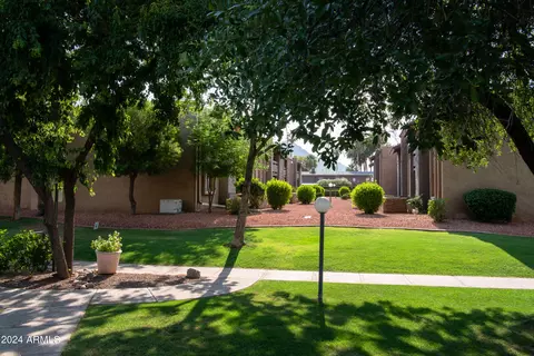 3825 E Camelback Rd #135, Phoenix, AZ 85018 photo 7