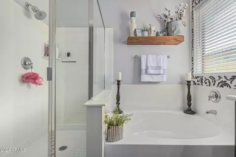Bath - 3254 E Castanets Dr, Gilbert, AZ 85298 photo 1 of 3