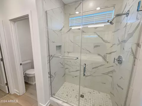Bath - 10204 E Thunderbolt Ave, Mesa, AZ 85212 photo 6 of 8