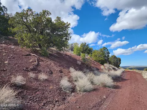 104 N County 3313 Rd #83, Vernon, AZ 85940