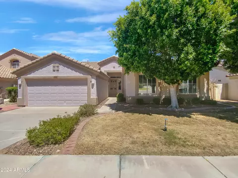 3691 S Barberry Pl, Chandler, AZ 85248