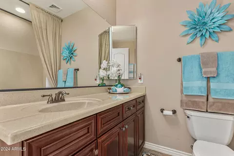 2702 E Lowell Ave, Gilbert, AZ 85295 photo 40