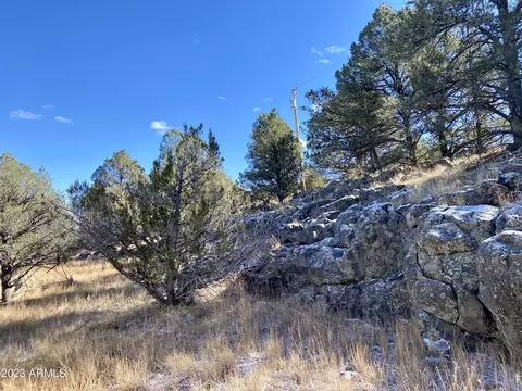 1441 E Alimos Way #137, Williams, AZ 86046