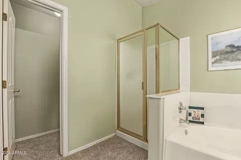 Bath - 748 W Moore Ave, Gilbert, AZ 85233 photo 3 of 5