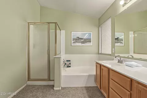 Bath - 748 W Moore Ave, Gilbert, AZ 85233 photo 2 of 5