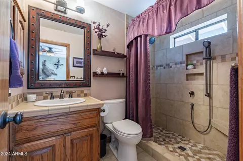 Bath - 3910 E Flossmoor Ave, Mesa, AZ 85206 photo 4 of 7