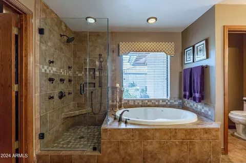 Bath - 3910 E Flossmoor Ave, Mesa, AZ 85206 photo 1 of 7