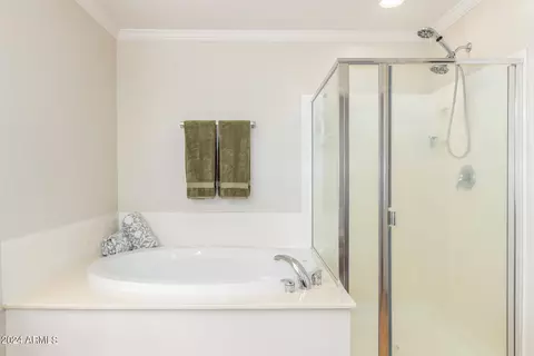 Bath - 2866 E Shannon St, Gilbert, AZ 85295 photo 3 of 6