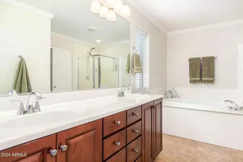 Bath - 2866 E Shannon St, Gilbert, AZ 85295 photo 2 of 6