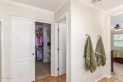 Bath - 2866 E Shannon St, Gilbert, AZ 85295 photo 4 of 6
