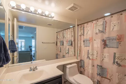 Bath - 676 W Douglas Ave, Gilbert, AZ 85233 photo 2 of 5