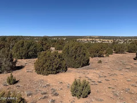 19 County Road 3044 -- #801, Vernon, AZ 85940