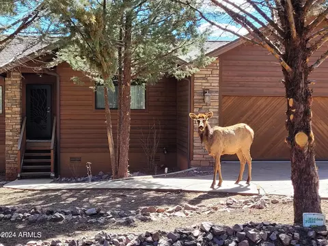 Exterior - 6195 W Hidden Pines Loop, Pine, AZ 85544 photo 2 of 8