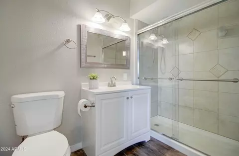 Bath - 7119 E Azalea Cir, Mesa, AZ 85208 photo 2 of 2