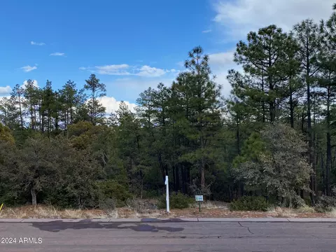 1675 S Pleasant View Dr #425, Show Low, AZ 85901