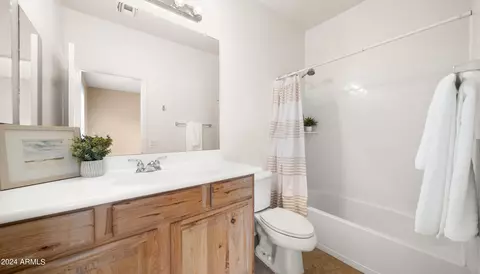 Bath - 3861 E Flower St, Gilbert, AZ 85298 photo 3 of 3