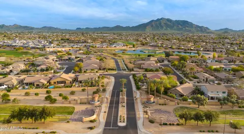 View/Area - 3861 E Flower St, Gilbert, AZ 85298 photo 3 of 16
