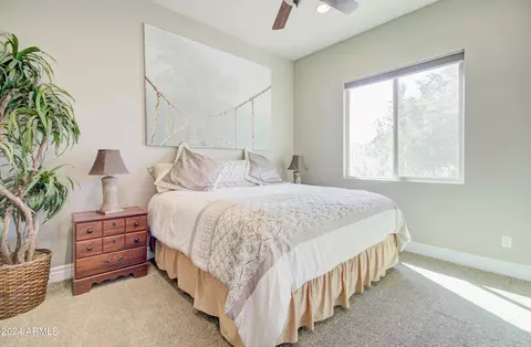 9015 E Omega St, Mesa, AZ 85207 photo 48