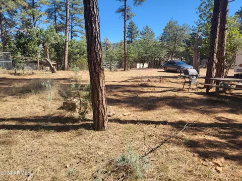 3962 N Pine Rd #9, Pine, AZ 85544 photo 10