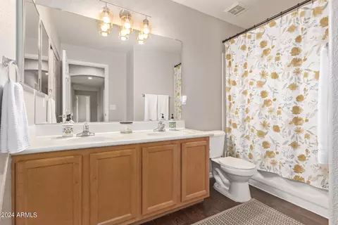 Bath - 2537 E Sagebrush St, Gilbert, AZ 85296 photo 5 of 7