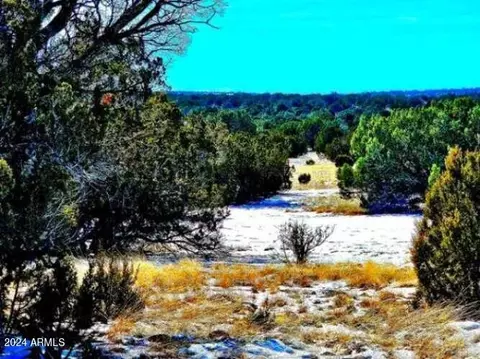 0 Christopher Trl #-, Show Low, AZ 85901