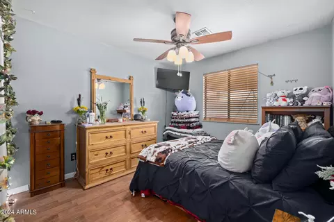 7355 E Hannibal St, Mesa, AZ 85207 photo 17