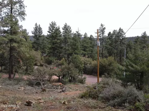 9284 W Coyote Dr #55, Pine, AZ 85544