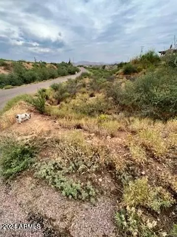 tbd Cherokee Dr 201 Acres -- #-, Globe, AZ 85501 photo 10