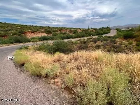 tbd Cherokee Dr 201 Acres -- #-, Globe, AZ 85501 photo 2
