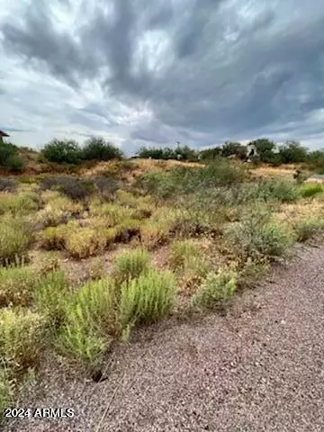 tbd Cherokee Dr 201 Acres -- #-, Globe, AZ 85501 photo 14