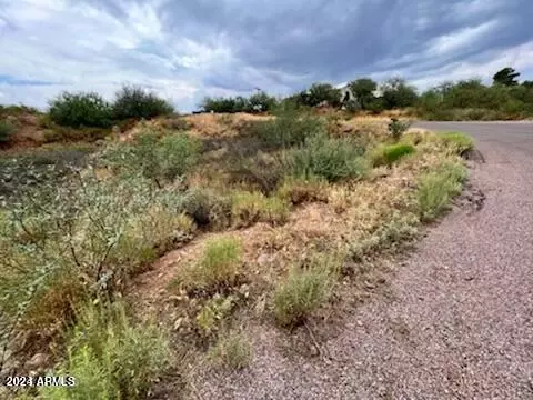 tbd Cherokee Dr 201 Acres -- #-, Globe, AZ 85501 photo 9