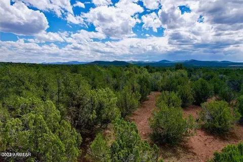 4 Co Rd 3187 Lot 2 509 Acres -- #-, Vernon, AZ 85940