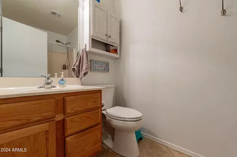 843 E Sheffield Ave, Gilbert, AZ 85296 photo 17