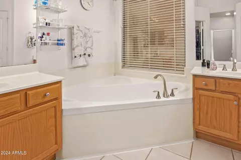 Bath - 455 W Johnson Dr, Gilbert, AZ 85233 photo 3 of 5
