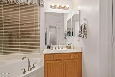 Bath - 455 W Johnson Dr, Gilbert, AZ 85233 photo 2 of 5