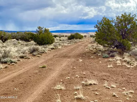 tbd N5364 4052 Acres -- #-, Concho, AZ 85924