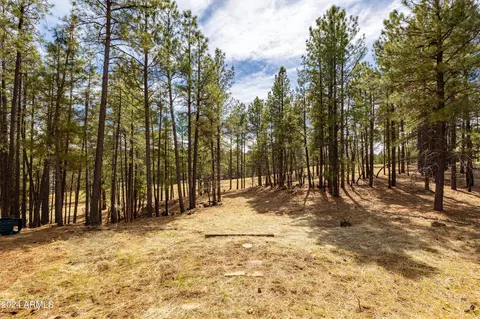 5271 E Mount Pleasant Dr, Flagstaff, AZ 86004 photo 2