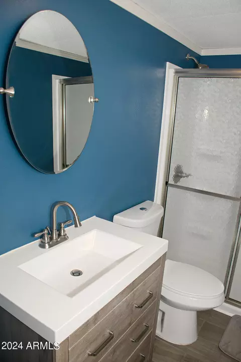 2943 W Manzanita St, Apache Junction, AZ 85120 photo 23