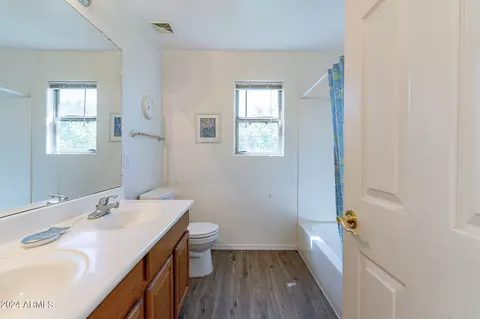 346 E Phelps St, Gilbert, AZ 85295 photo 44