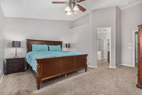 16008 N 174th Ave, Surprise, AZ 85388 photo 11