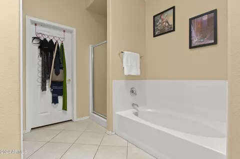 Bath - 3243 E Maldonado Dr, Phoenix, AZ 85042 photo 4 of 5