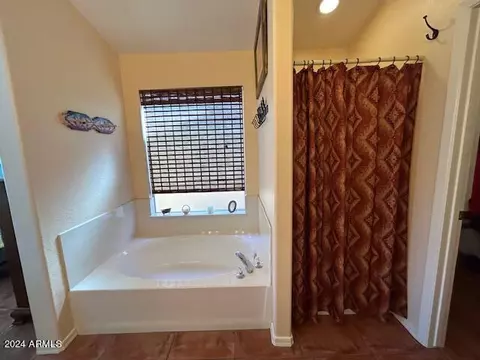 Bath - 308 E Devon Dr, Gilbert, AZ 85296 photo 2 of 4
