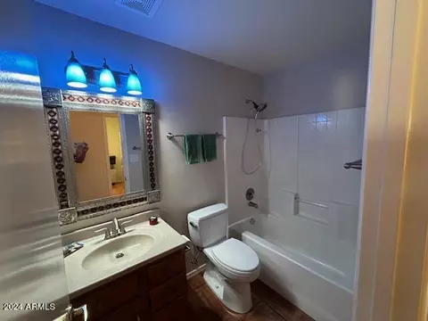 Bath - 308 E Devon Dr, Gilbert, AZ 85296 photo 4 of 4