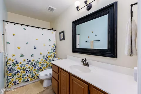 Bath - 2747 E Mountain Sky Ave, Phoenix, AZ 85048 photo 6 of 6