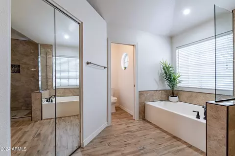 Bath - 818 W Devon Dr, Gilbert, AZ 85233 photo 3 of 5