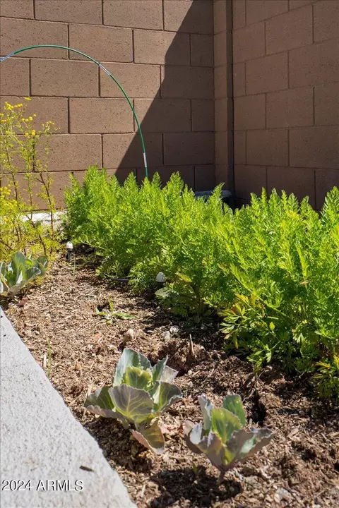 Exterior - 2325 E Kelly Dr, Gilbert, AZ 85298 photo 8 of 20