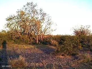 418 W Nn W 418 Ave #1017, Unincorporated County, AZ 85354