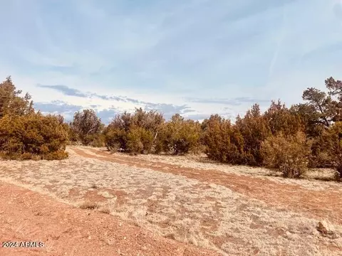 Other - 3661 Timberlake Dr, Overgaard, AZ 85933 photo 8 of 11